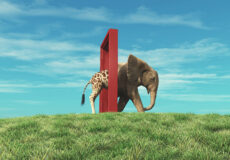 Giraffe,Entering,A,Door,And,Gets,Out,As,An,Elephant